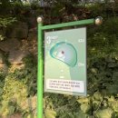 분당 그린피아 파3 가격 숏게임 벙커없음 솔직후기