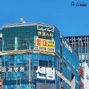 월드스타부동산중개 이미지