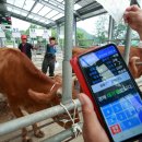 이상진농장 이미지