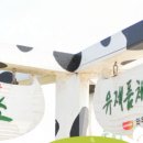 도농골목장 네이버블로그