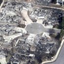 천하태평 이미지