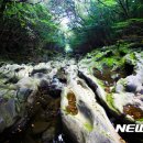 (주)여행버스