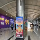 2024 구미 라면축제 방문 솔직 리뷰 상세후기(기본정보, 포토존, 팝업스토어, 체험라면공작소, 세상에서...