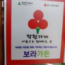 보라가든 이미지