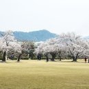 담배인삼공사 이미지