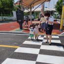 움찬어린이집 이미지