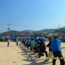 하빈초등 이미지