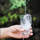 새가야약국 이미지