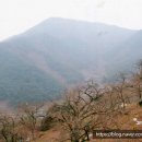 송림길삼거리 이미지