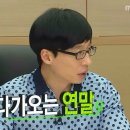 당진Y복싱클럽 이미지