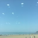 황금횟집 네이버블로그