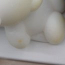 비중격만곡증 수술 시간 관련 내용공유