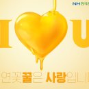 한국양봉농업협동조합 이미지