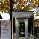 (주)메타랜드 | [담양] 메타세콰이어길 단풍현황 실시간 후기 11월 중순