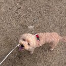 왜요? 제가 블로그 밀린사람으로 보이세요?
