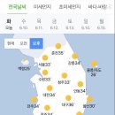 살롱드 고우리