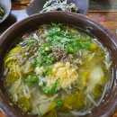 고부식당 | 동네한바퀴 경남식추어탕 고부의 맛 밀양 노포 식당 정보