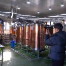 트레비어 이미지