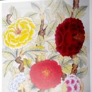 안다미로귀때박물관 이미지