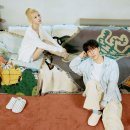 소란 티브이데일리