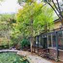 파주파인밸리 이미지