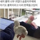 유이쯔 이미지