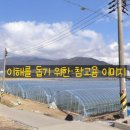 덕천대감