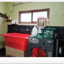 제주 헬로우펫 이미지