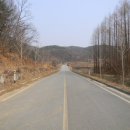 다비숲공원 Daum카페