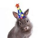 HOPPY BIRTHDAY KOOKHEON !! 🐰🥳 이미지