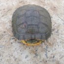 도영목장 이미지