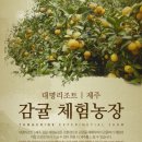 제주리조트 이미지