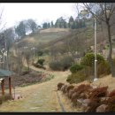 숲쟁이꽃동산 이미지