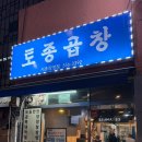 토종곱창서초