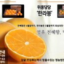 영숙농산물 이미지