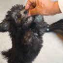 써니 애프터눈 이미지