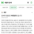 내일 운세를 재미삼아 봤어요 이미지