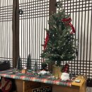 선유정 | 포항 에어비앤비 내돈내산 추천 선유정 옥상에서 보는 일출 맛집