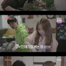 우기고기 이미지