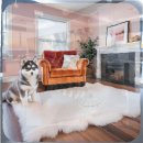 폼스키 | 부평 폼스키분양 체험 후기와 꼼꼼한 QA로 결정하세요