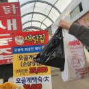 새닭집