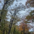 표충사주차장 | 경남 밀양 가을단풍 사찰여행 [표충사] &amp; 천황산 등산코스 [영남알프스 얼음골 케이블카] 이용후기