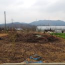 대운산리 이미지