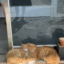 청파반건조수산 네이버블로그