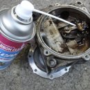 엘피지카 이미지