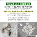 인덕원성모내과의원 네이버블로그