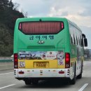 주식회사금아여행 이미지