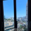 대치학군공인중개사사무소 이미지