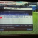 알펜시아스크린골프 이미지