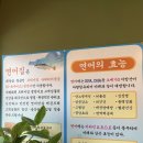 연어집 언양점